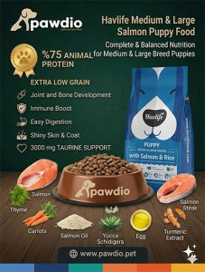 Havlife Medium & Large Salmon Puppy Food